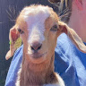 Meet your Posher, Mary